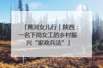 黄河女儿行｜陕西：一名下岗女工的乡村振兴“家政兵法”