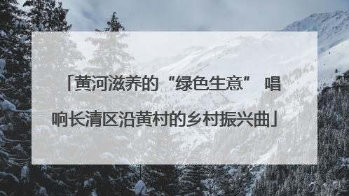 黄河滋养的“绿色生意” 唱响长清区沿黄村的乡村振兴曲