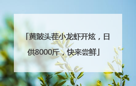 黄陂头茬小龙虾开炫，日供8000斤，快来尝鲜