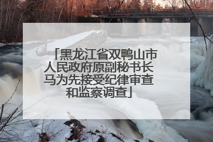 黑龙江省双鸭山市人民政府原副秘书长马为先接受纪律审查和监察调查