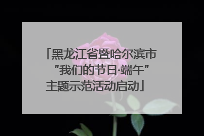黑龙江省暨哈尔滨市“我们的节日·端午”主题示范活动启动