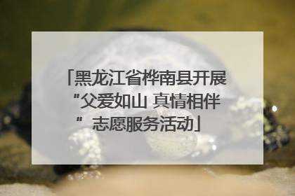 黑龙江省桦南县开展“父爱如山 真情相伴”志愿服务活动