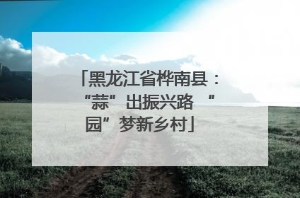 黑龙江省桦南县：“蒜”出振兴路 “园”梦新乡村