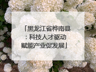 黑龙江省桦南县：科技人才驱动 赋能产业促发展