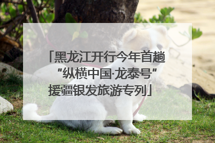 黑龙江开行今年首趟“纵横中国·龙泰号”援疆银发旅游专列