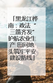 黑龙江桦南：政法“三箭齐发”护航农业生产 田间地头筑牢平安建设防线