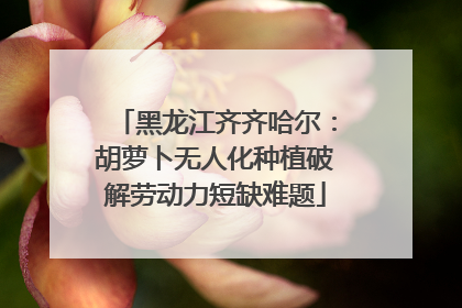 黑龙江齐齐哈尔：胡萝卜无人化种植破解劳动力短缺难题