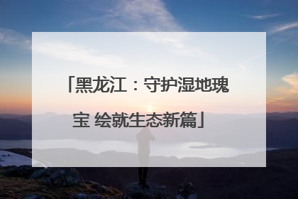 黑龙江：守护湿地瑰宝 绘就生态新篇