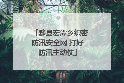 黟县宏潭乡织密防汛安全网 打好防汛主动仗
