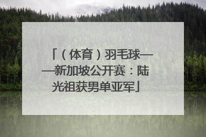 （体育）羽毛球——新加坡公开赛：陆光祖获男单亚军