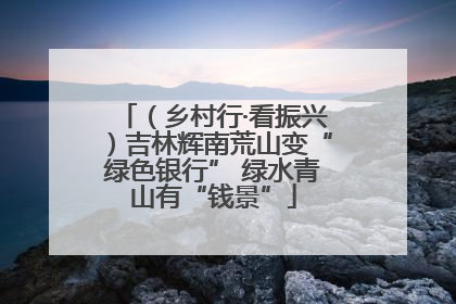（乡村行·看振兴）吉林辉南荒山变“绿色银行” 绿水青山有“钱景”