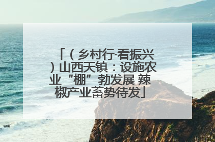 （乡村行·看振兴）山西天镇：设施农业“棚”勃发展 辣椒产业蓄势待发