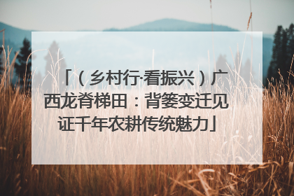 （乡村行·看振兴）广西龙脊梯田：背篓变迁见证千年农耕传统魅力