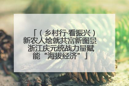 （乡村行·看振兴）新农人绘就共富新图景 浙江庆元统战力量赋能“海拔经济”