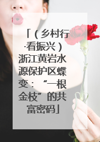 （乡村行·看振兴）浙江黄岩水源保护区蝶变：“一根金枝”的共富密码