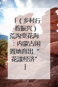 （乡村行·看振兴）荒沟变花海：内蒙古闲置地育出“花漾经济”