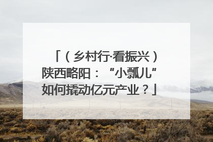 （乡村行·看振兴）陕西略阳：“小瓢儿”如何撬动亿元产业？