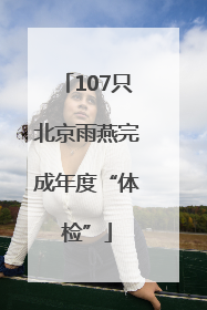 107只北京雨燕完成年度“体检”