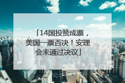 14国投赞成票，美国一票否决！安理会未通过决议
