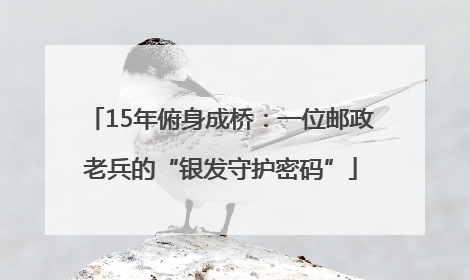15年俯身成桥：一位邮政老兵的“银发守护密码”