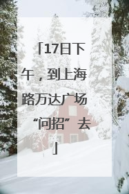 17日下午，到上海路万达广场“问招”去