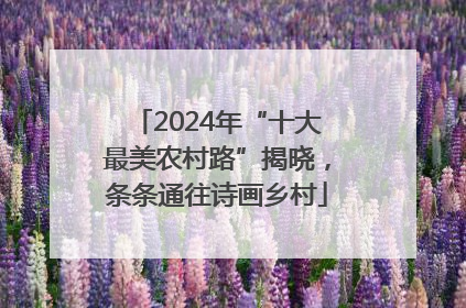 2024年“十大最美农村路”揭晓，条条通往诗画乡村