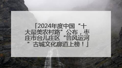 2024年度中国“十大最美农村路”公布，枣庄市台儿庄区“鲁风运河”古城文化廊道上榜！