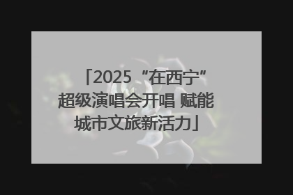 2025“在西宁”超级演唱会开唱 赋能城市文旅新活力