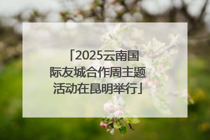 2025云南国际友城合作周主题活动在昆明举行