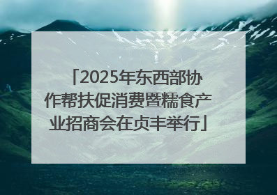 2025年东西部协作帮扶促消费暨糯食产业招商会在贞丰举行
