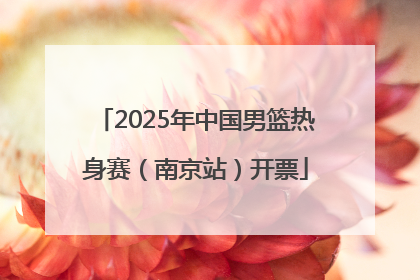 2025年中国男篮热身赛（南京站）开票