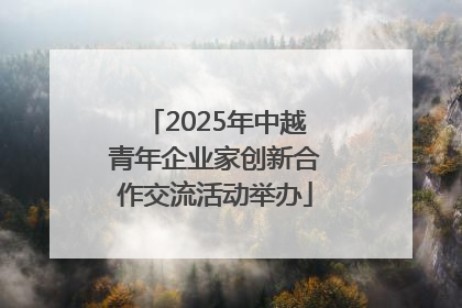 2025年中越青年企业家创新合作交流活动举办