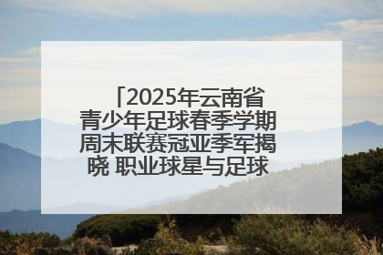 2025年云南省青少年足球春季学期周末联赛冠亚季军揭晓 职业球星与足球小将共享荣耀时刻