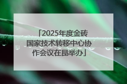 2025年度金砖国家技术转移中心协作会议在昆举办