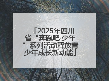 2025年四川省“奔跑吧·少年”系列活动释放青少年成长新动能