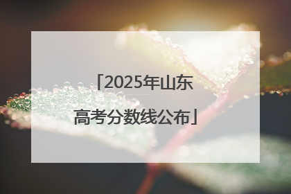2025年山东高考分数线公布
