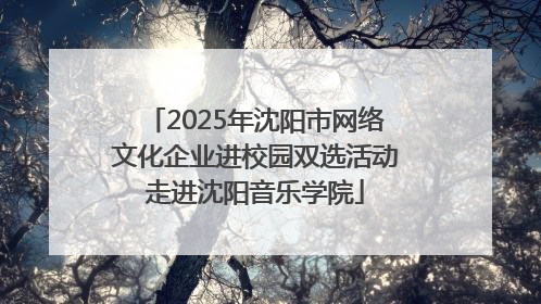 2025年沈阳市网络文化企业进校园双选活动走进沈阳音乐学院