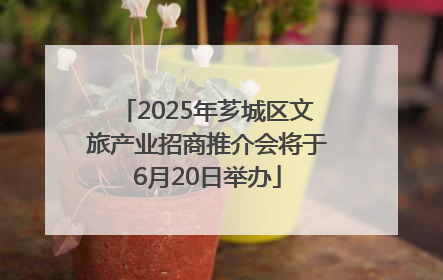 2025年芗城区文旅产业招商推介会将于6月20日举办