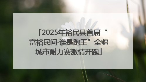 2025年裕民县首届“富裕民间·谁是跑王”全疆城市耐力赛激情开跑