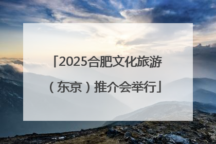 2025合肥文化旅游（东京）推介会举行