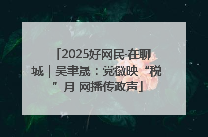 2025好网民·在聊城｜吴聿晟：党徽映“税”月 网播传政声