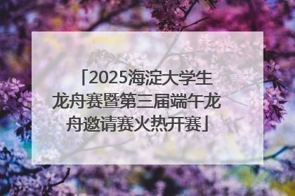 2025海淀大学生龙舟赛暨第三届端午龙舟邀请赛火热开赛