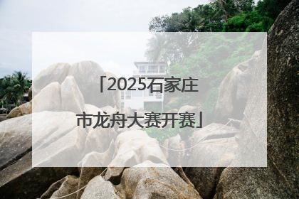 2025石家庄市龙舟大赛开赛