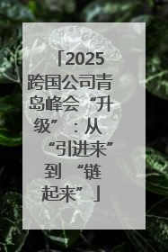 2025跨国公司青岛峰会“升级”：从 “引进来” 到 “链起来”