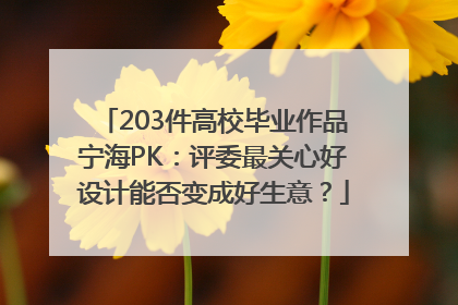 203件高校毕业作品宁海PK：评委最关心好设计能否变成好生意？