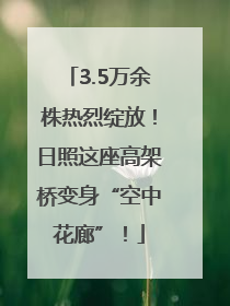 3.5万余株热烈绽放！日照这座高架桥变身“空中花廊”！