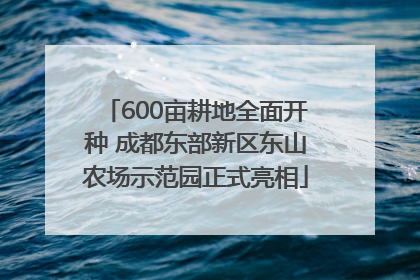 600亩耕地全面开种 成都东部新区东山农场示范园正式亮相
