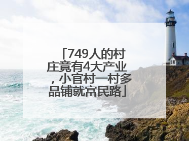 749人的村庄竟有4大产业，小官村一村多品铺就富民路
