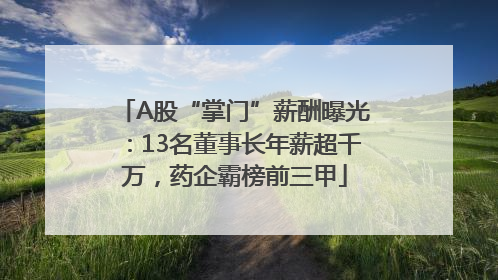 A股“掌门”薪酬曝光：13名董事长年薪超千万，药企霸榜前三甲