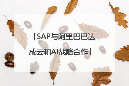 SAP与阿里巴巴达成云和AI战略合作